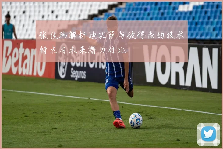 张佳玮解析迪班萨与彼得森的技术特点与未来潜力对比