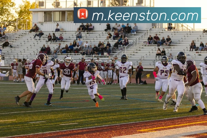 星空网官网登录入口平台生态图